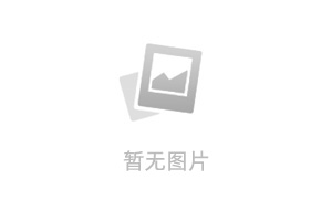 正常的大冒险有哪些通关技巧